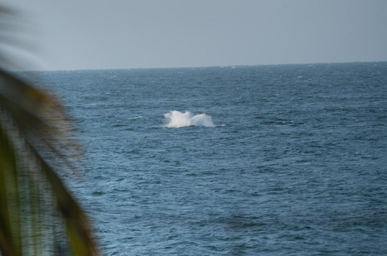 Los Corales Máncora Buitenkant foto