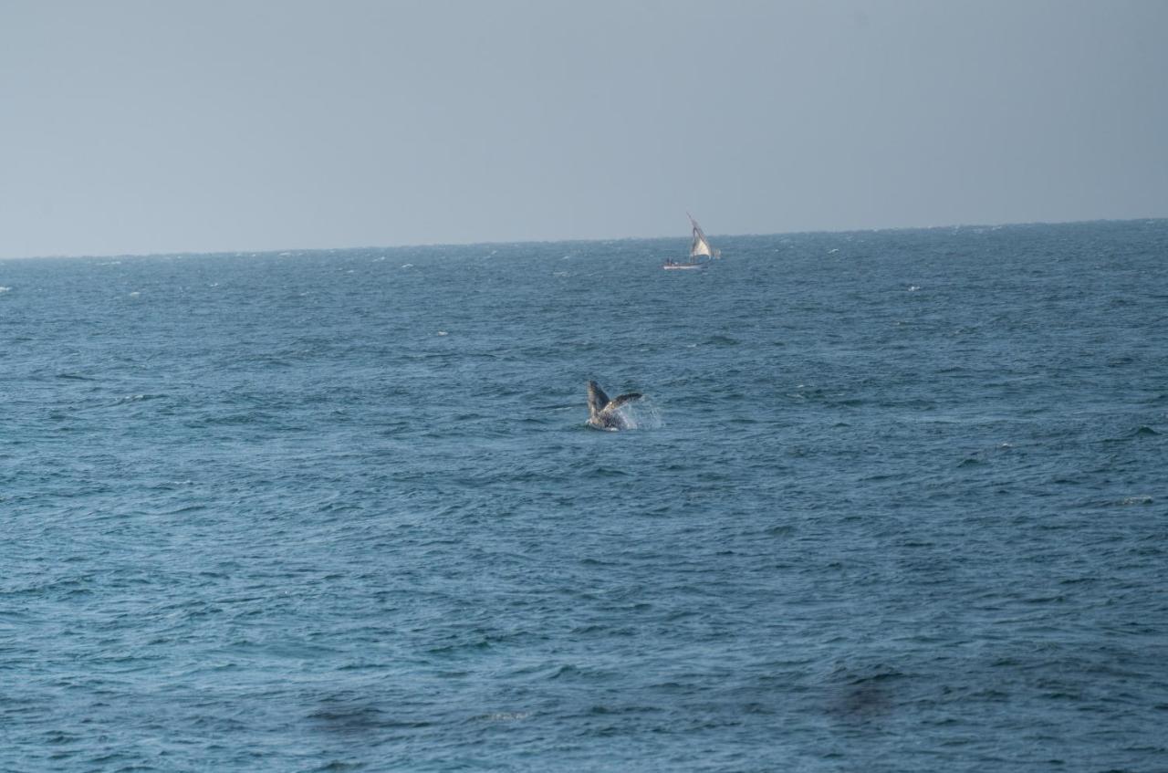 Los Corales Máncora Buitenkant foto